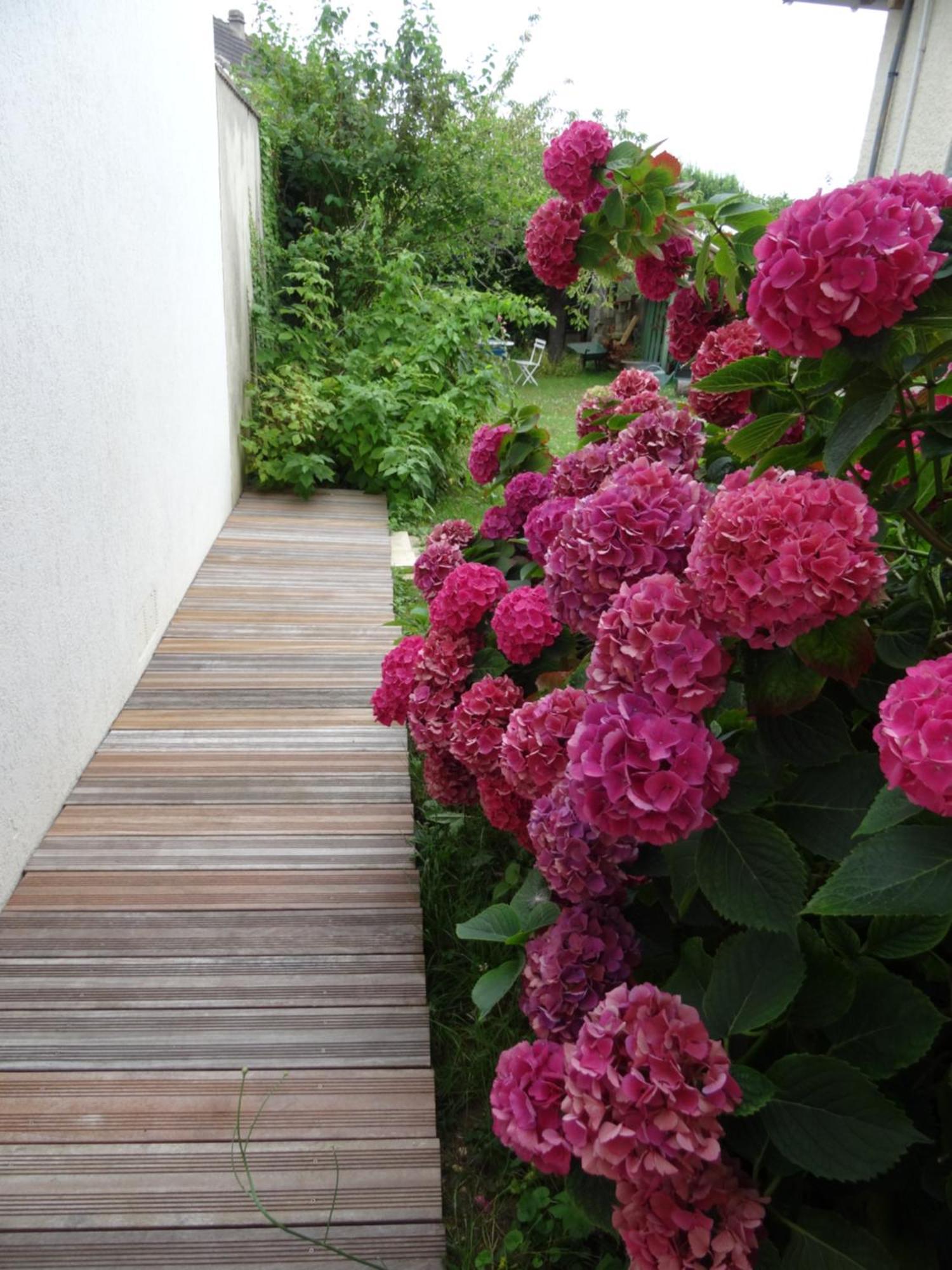 Maison D'Hotes Les Roses Tremieres Saclay Ngoại thất bức ảnh